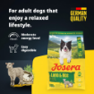Josera All Sizes Adult Lamb & Rice gluten free lighter complete food for small medium and large dogs product benefits