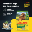 Josera Mother and Puppy Salmon and Rice breeding food for pregnant or nursing dogs and puppies product benefits