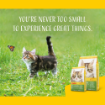 Josera Kitten Grainfree complete cat food for pregnant and lactating cats lifestyle