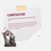 Josera Kitten complete cat food for pregnant and lactating cats ingredients