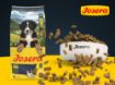 Josera Junior Kids complete gluten-free food with salmon oil for larger puppies and junior dogs kibble & bowl