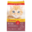 Josera Kitten complete cat food for pregnant and lactating cats 10kg + 1kg promotional bag